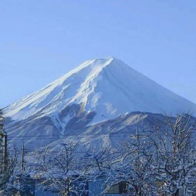 传世挂机小米手游下载